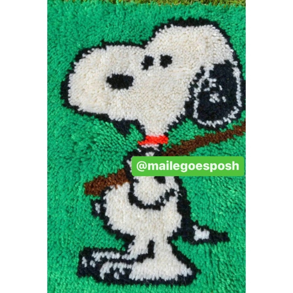 Art Photograph of Snoopy latch hook 8X10 inch photo nursery—pick color choice